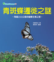 青斑蝶遷徙之謎